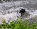 20180602-shrw-0178