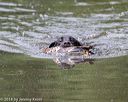 20180602-shrw-0188
