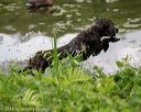 20180602-shrw-0232