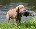 20180602-shrw-0325