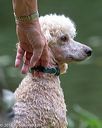 20180602-shrw-0461