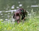 20180602-shrw-0526