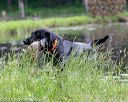20180602-shrw-0601