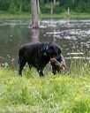 20180602-shrw-0639