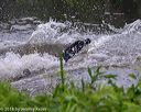 20180602-shrw-0856