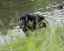 20180602-shrw-0868