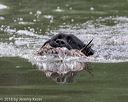 20180602-shrw-0982