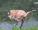 20180602-shrw-1023