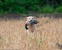 20180603-finl-0010