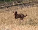 20180603-finl-0036