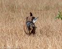 20180603-finl-0040