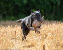 20180603-finl-0072
