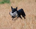 20180603-finl-0094