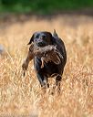 20180603-finl-0286