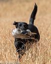 20180603-finl-0312
