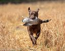 20180603-finl-0372