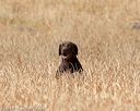 20180603-finl-0391