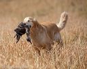 20180603-finl-0401