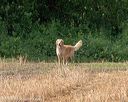 20180603-finl-0411