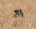 20180603-finl-0460