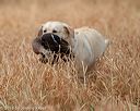 20180603-finl-0475