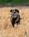 20180603-finl-0528
