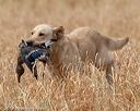 20180603-finl-0594