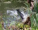 20180603-finw-0045