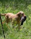 20180603-finw-0180