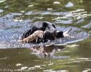 20180603-finw-0467