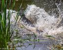20180603-finw-0481
