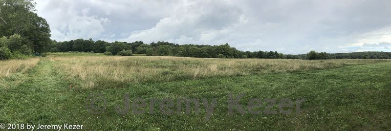 20180804-c-0001.jpg