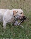 20180804-jhl-0020