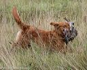 20180804-jhl-0102