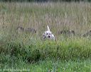 20180804-jhl-0292