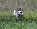20180804-jhl-0299