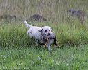 20180804-jhl-0302