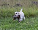 20180804-jhl-0303