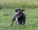 20180804-jhl-0538