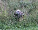 20180804-jhl-0675