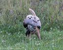 20180804-jhl-0679