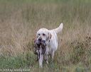 20180804-jhl-0779