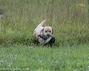 20180804-jhl-0825