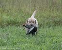 20180804-jhl-0828