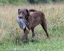 20180804-jhl-0935
