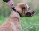 20180804-jhl-1290