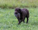 20180804-jhl-1328