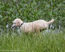 20180804-jhw-0187