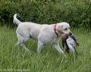20180804-jhw-0269