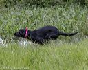 20180804-jhw-0380